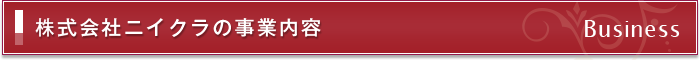 株式会社ニイクラの事業内容